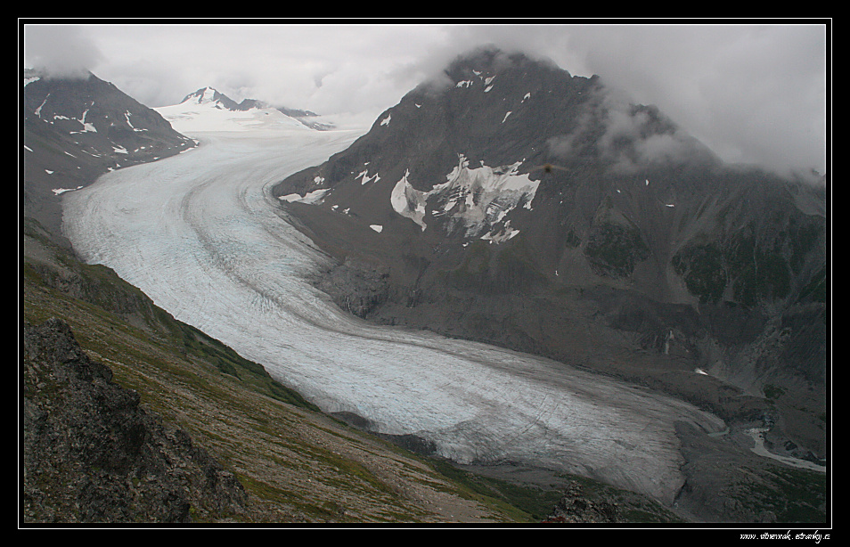 Exit glacier 011