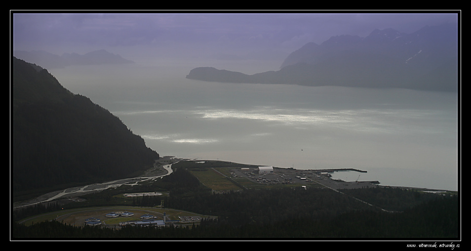 Exit glacier 015