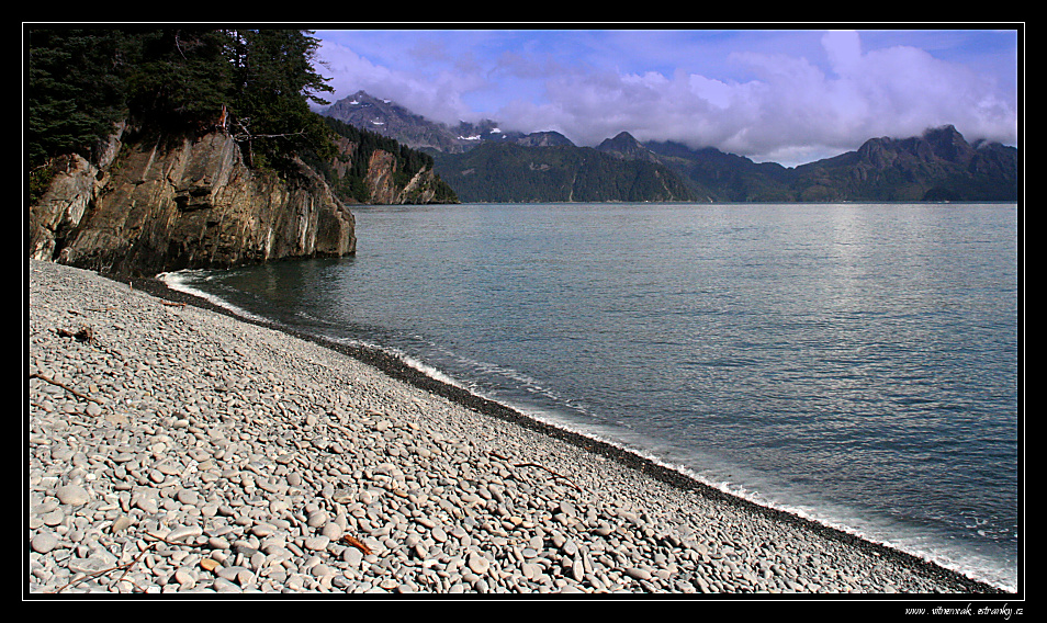 Exit glacier 028