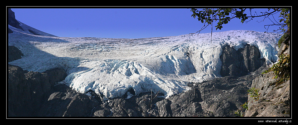 Exit glacier 046