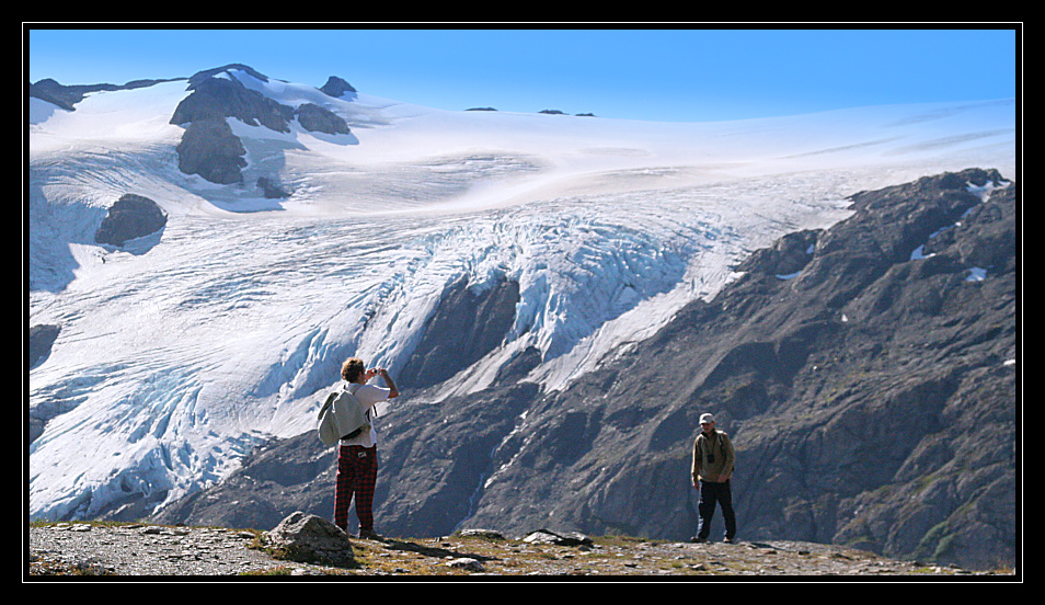 Exit glacier 069