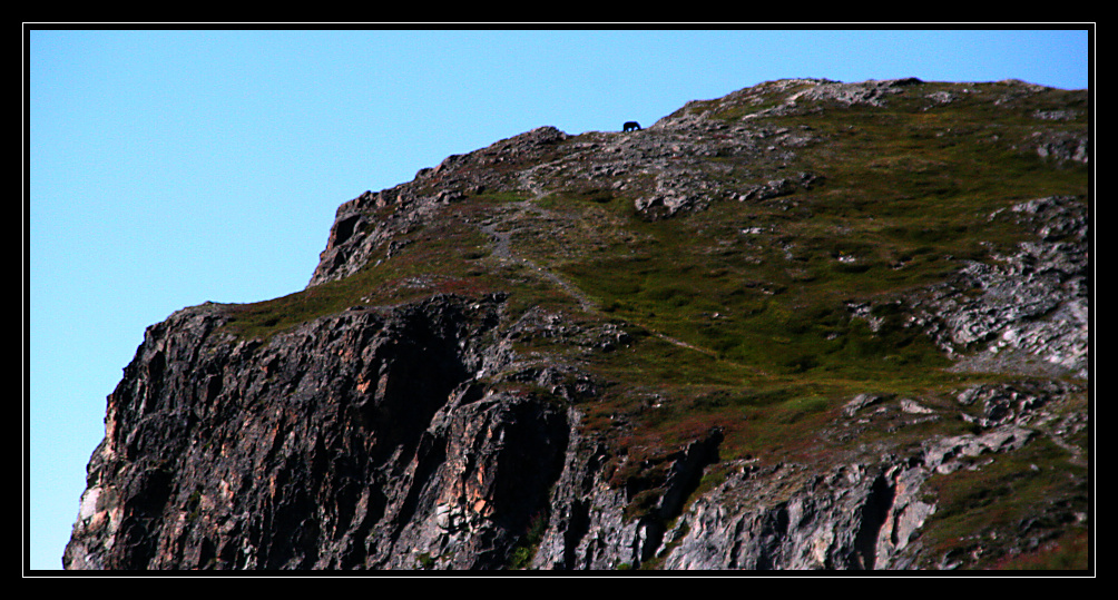 Exit glacier 075