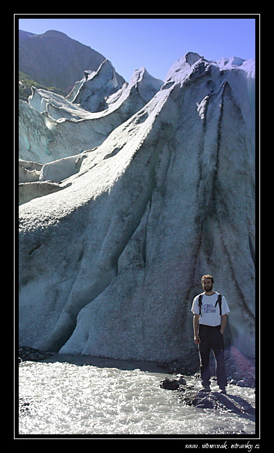 Exit glacier 231