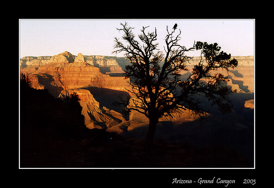 Usa + Mexico 2003 (46) copy.jpg