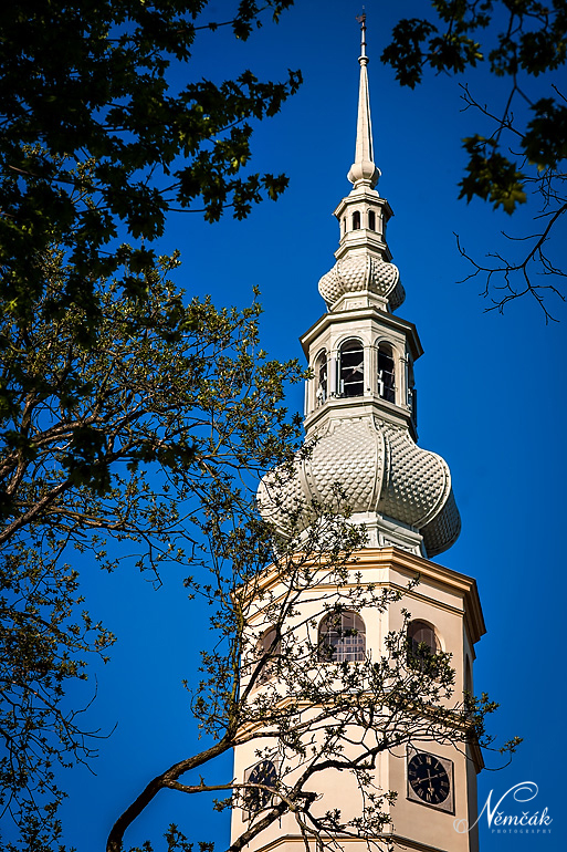 _MG_9213